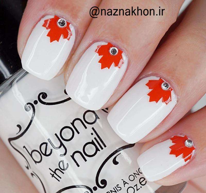 طرح های پاییزه نازناخن